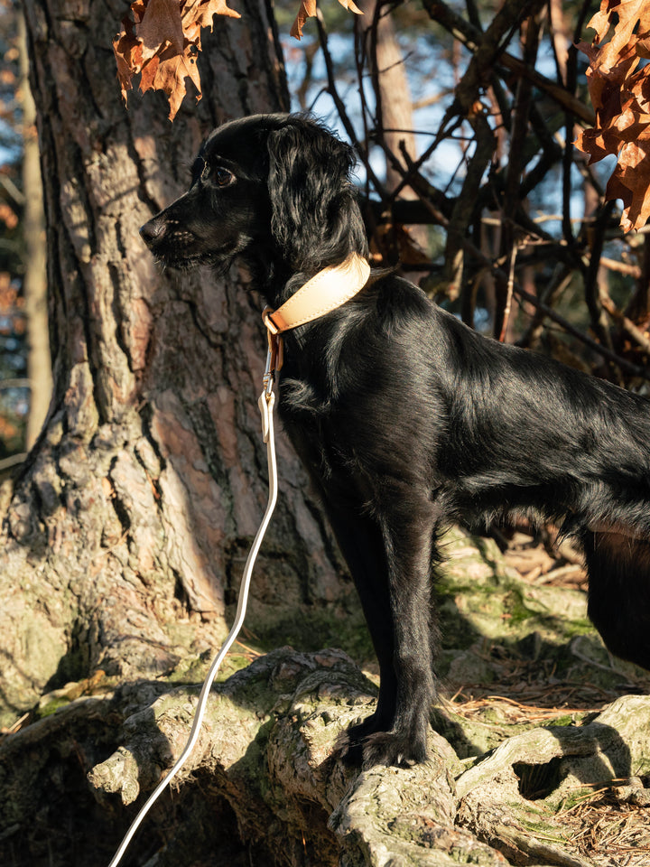 Beige Vegan Leather Collar