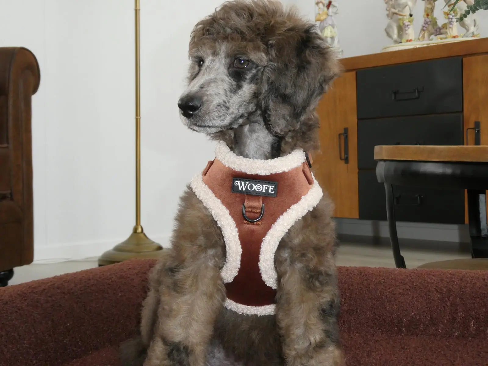 The Velvet Bear Harness