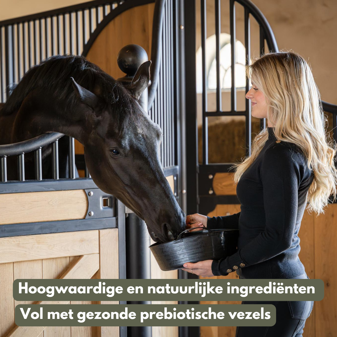 MashyBowl - Appel / Spinazie