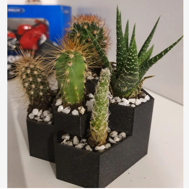 Cactus Pot - Goat Corp