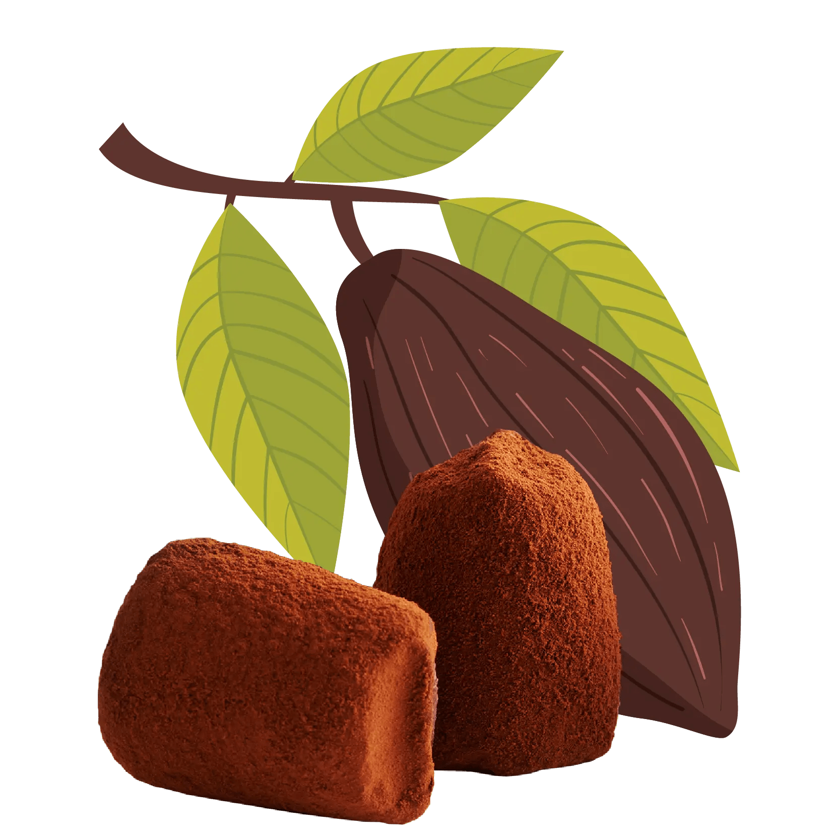 Cacao nibs chocolate truffles - bulk
