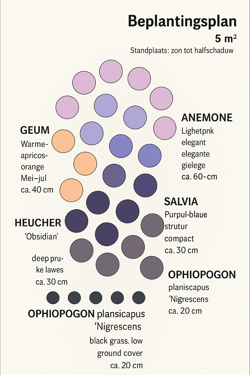 Borderpakket – Jaarrond kleur & bloei – Warm & contrastrijk - 5 m² - 50m