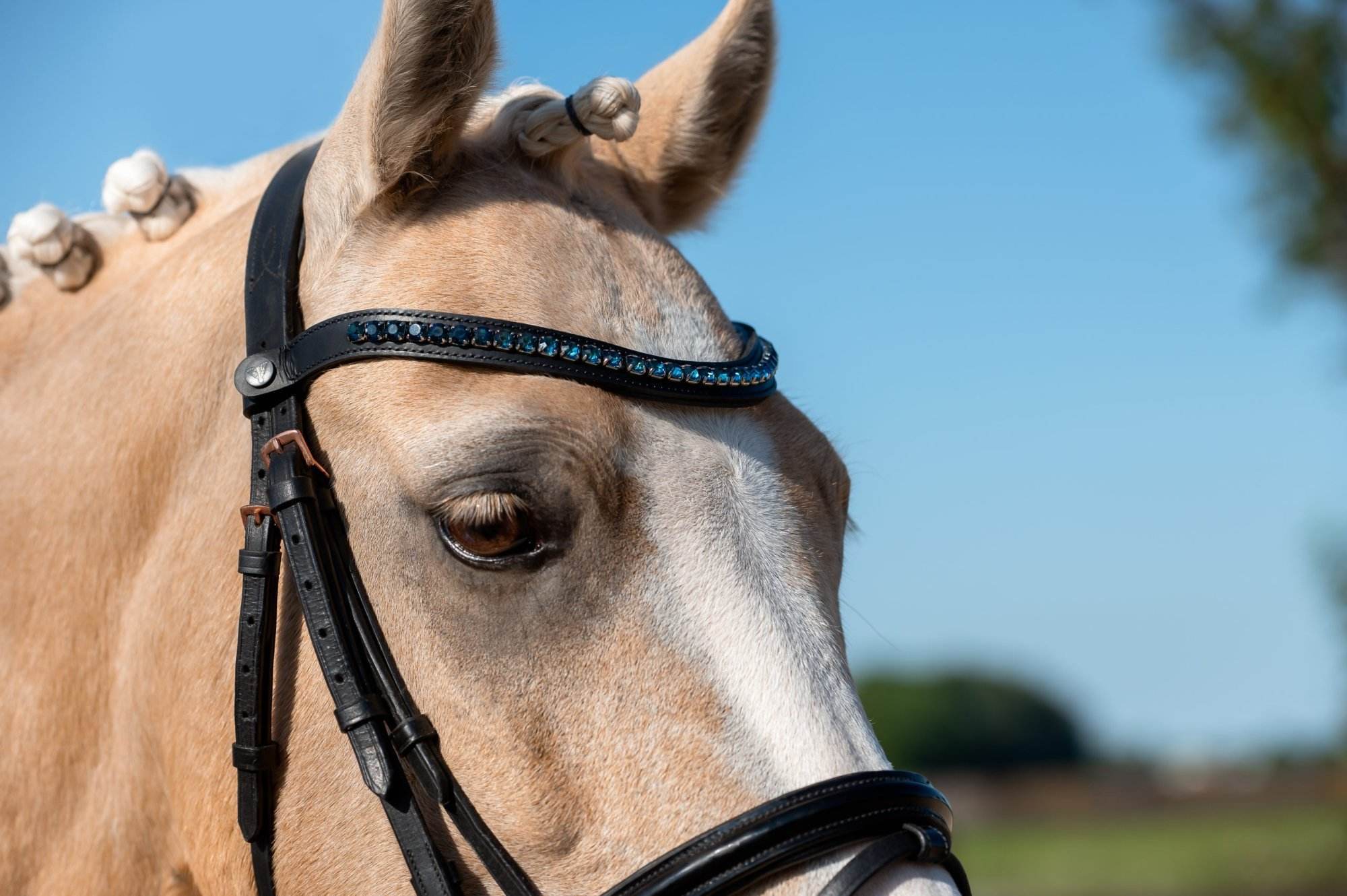 Frontriem Donkerblauw