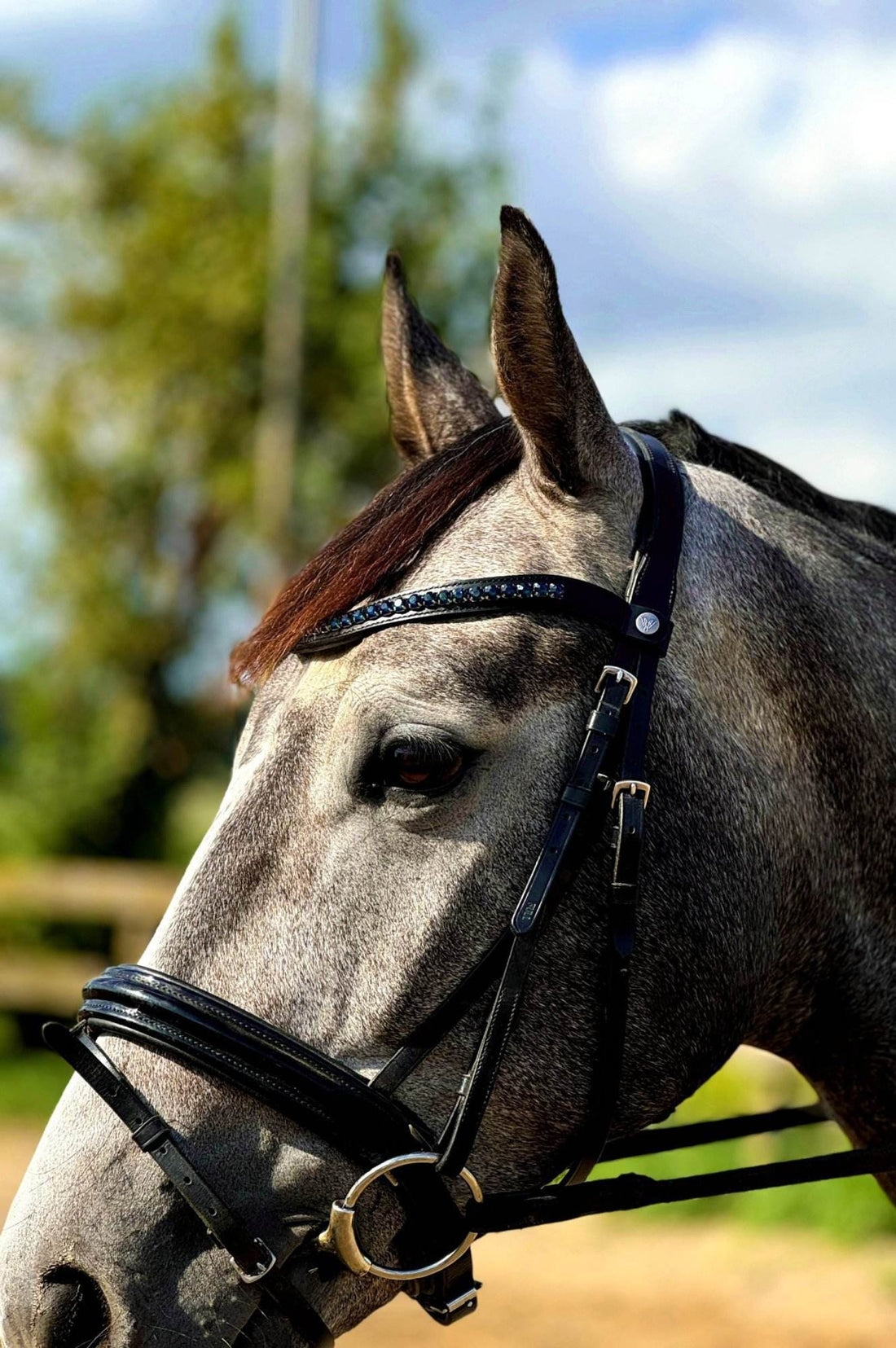 Frontriem Donkerblauw