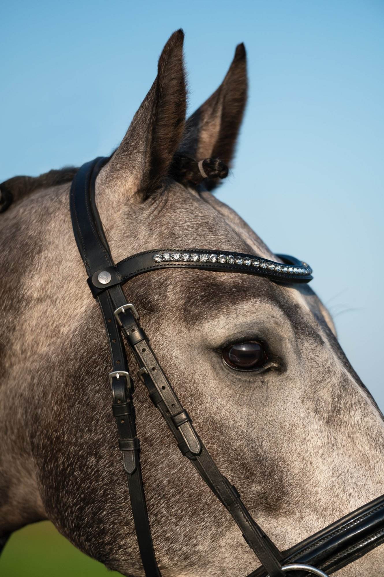 Frontriem Diamant Zwart