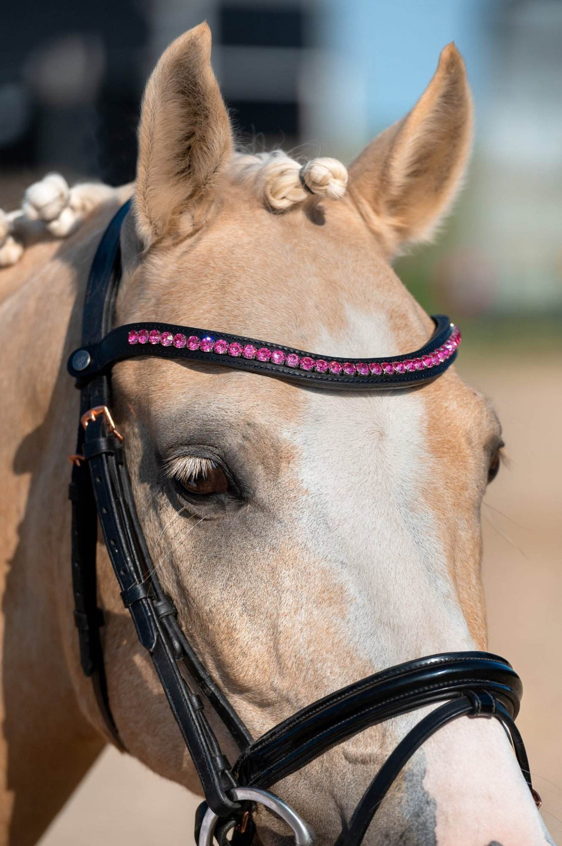 Frontriem Donkerroze