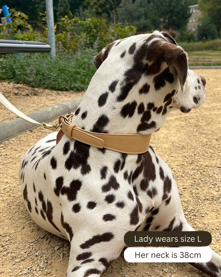 Beige Vegan Leather Collar
