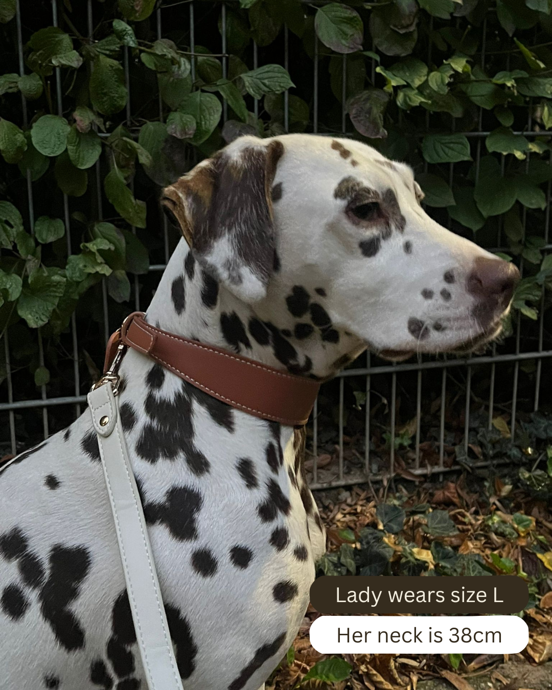 Mocha Vegan Leather Collar