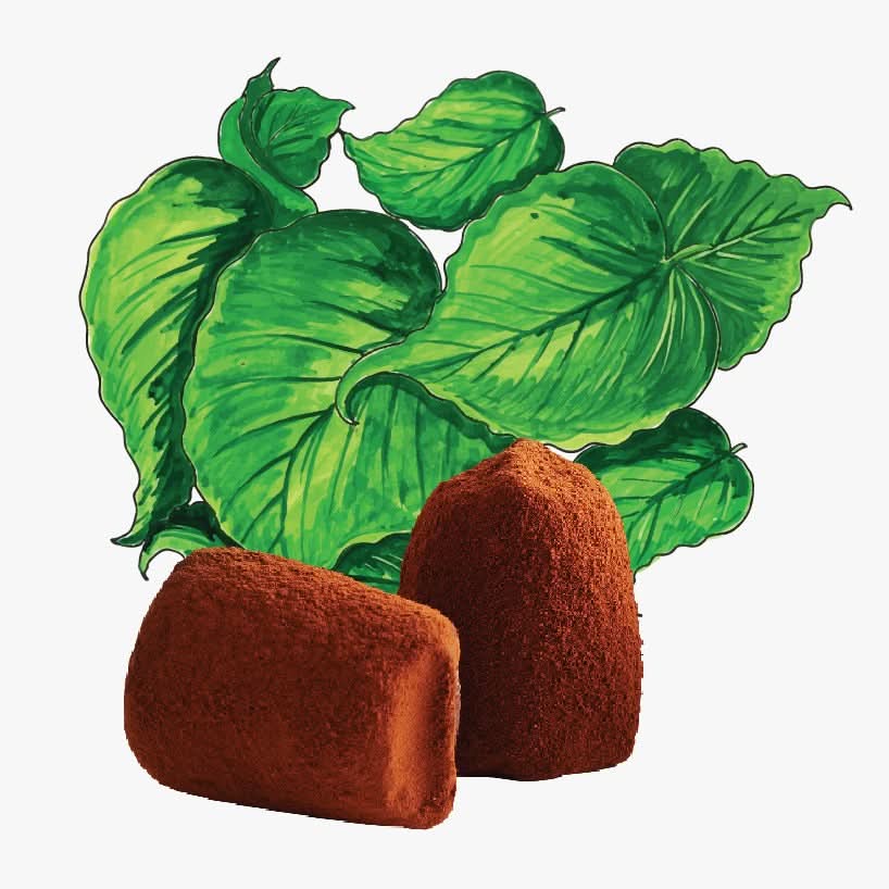 Mint Chocolate truffles - Bulk