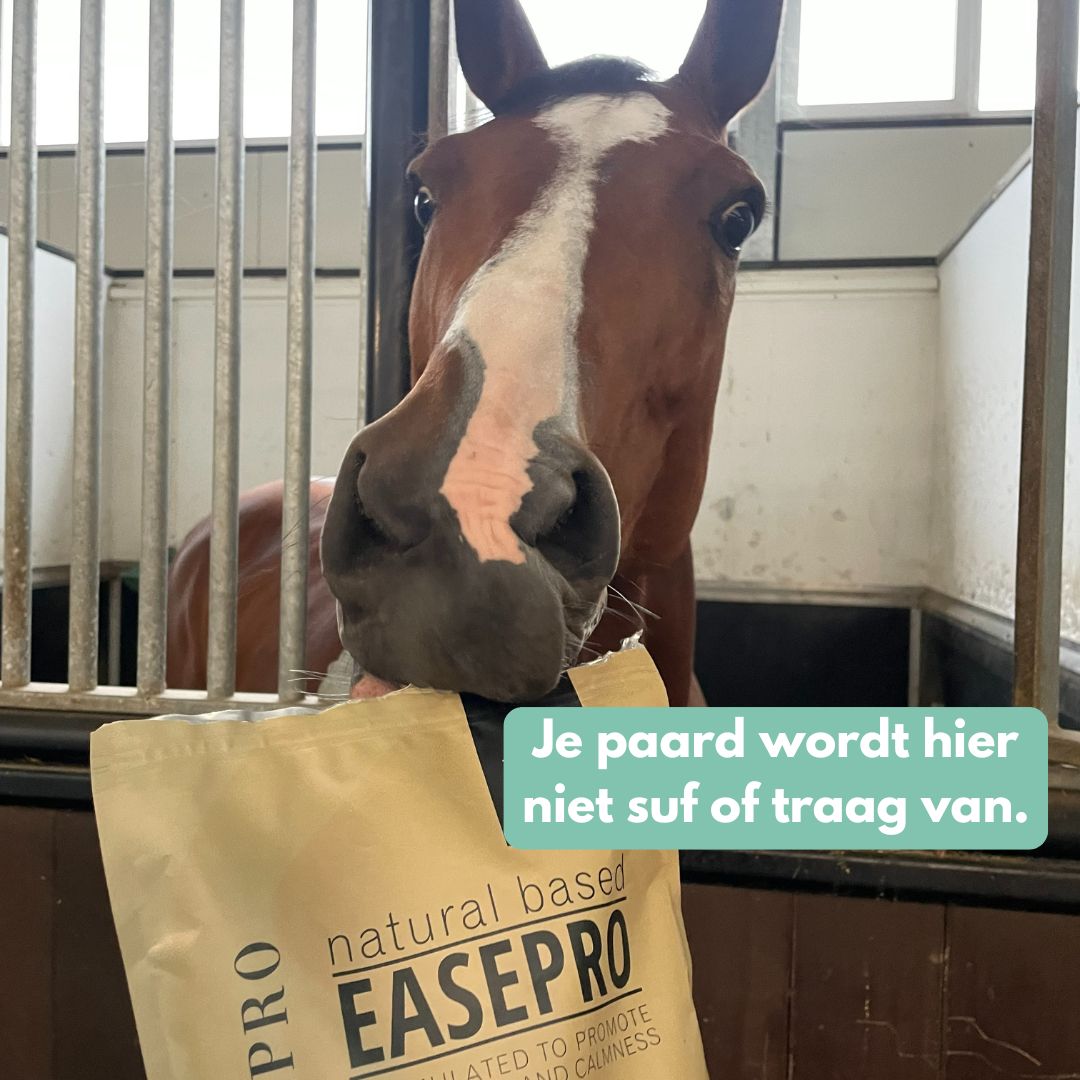 EasePro | Meer ontspanning, minder stress