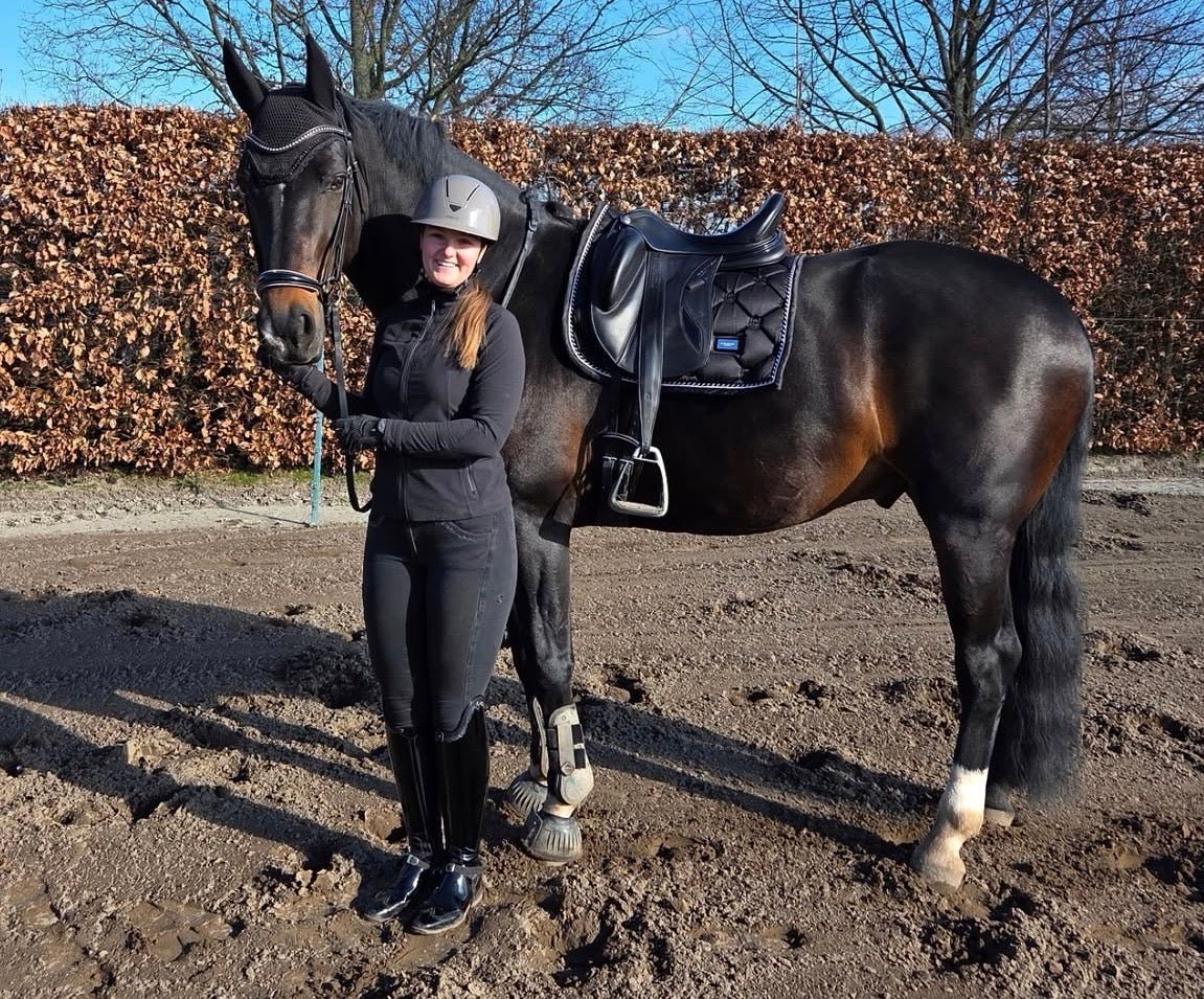 Schaal paardrijhelm Taupe