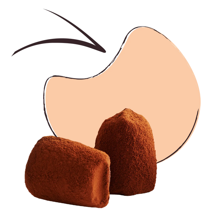 Plain Chocolate Truffles - bulk - Goat Corp