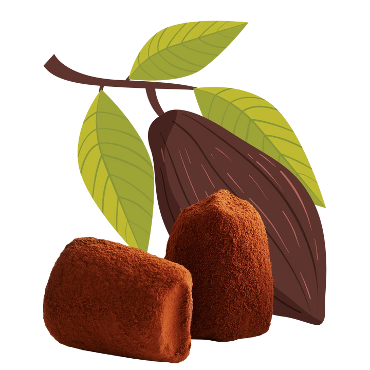 Cacao nibs chocolate truffles - bulk - Goat Corp