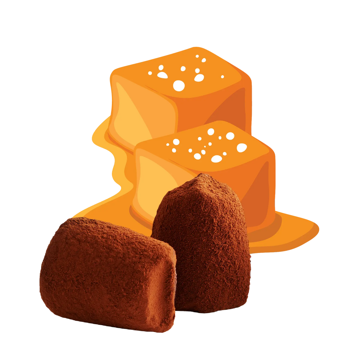 Salted Caramel Chocolate Truffles - bulk - Goat Corp