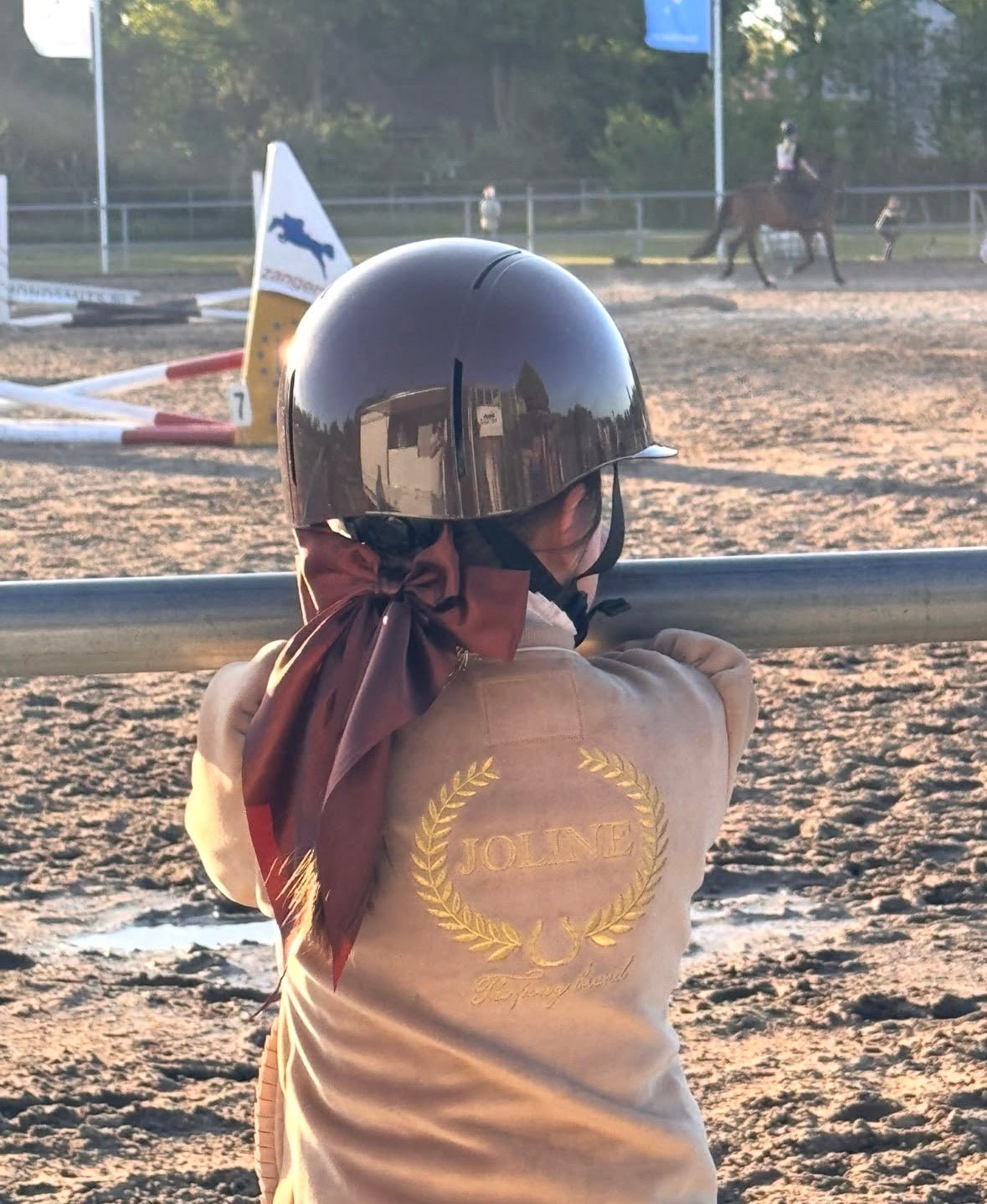 Schaal paardrijhelm Bruin